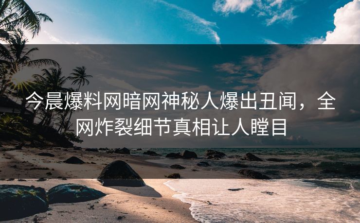 今晨爆料网暗网神秘人爆出丑闻，全网炸裂细节真相让人瞠目
