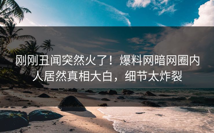 刚刚丑闻突然火了!爆料网暗网圈内人居然真相大白,细节太炸裂
